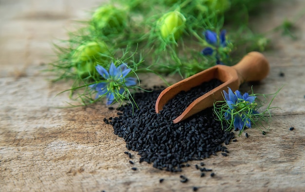 Sementes e flores de cominho preto. foco seletivo.