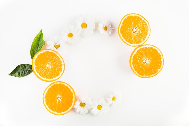 Foto semicírculo de naranjas y chamomiles