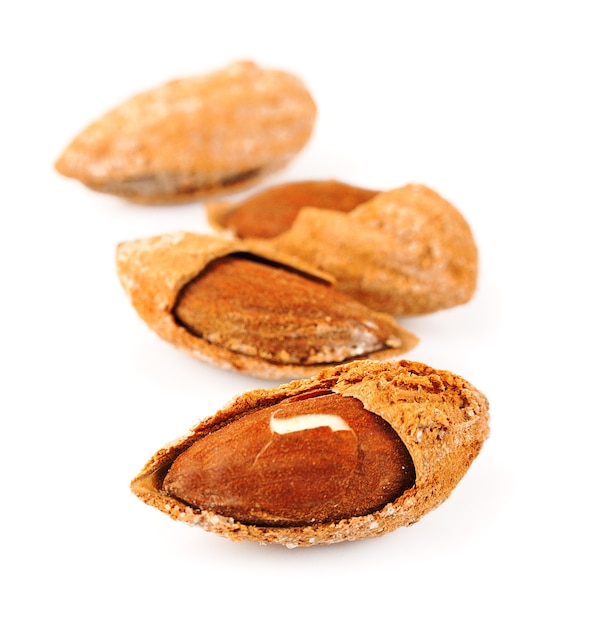 Semilla de nueces de almendras en blanco