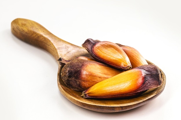 Semilla de piñones cocidos en cuchara de madera rústica copyspace aislado fondo blanco comida de restaurante brasileño