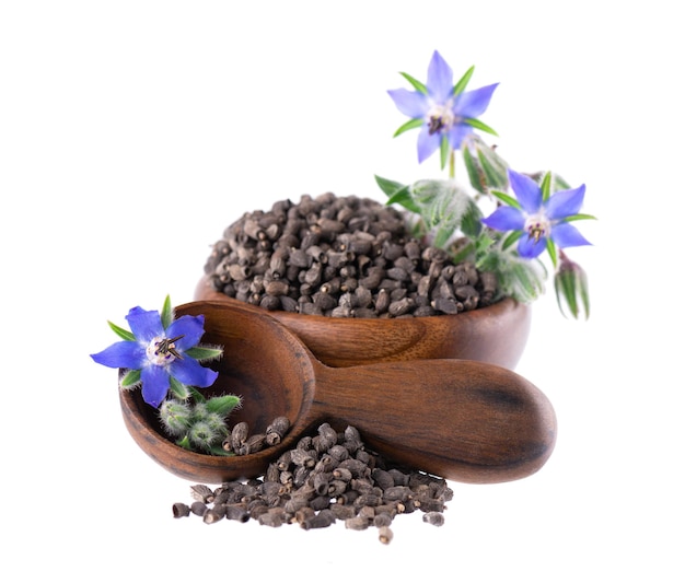 Semillas de borraja con flores en un recipiente de madera aisladas sobre un fondo blanco semillas de borrago officinalis y
