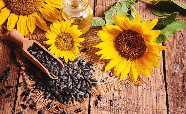 Semillas de girasol y botella de aceite sobre fondo de madera vieja. Enfoque selectivo naturaleza