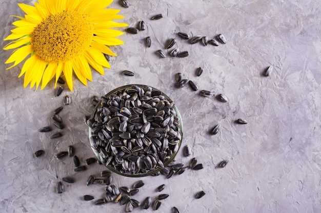 Semillas de girasol y una flor en un vaso sobre una mesa gris Cosecha y nutrición natural Vista superior