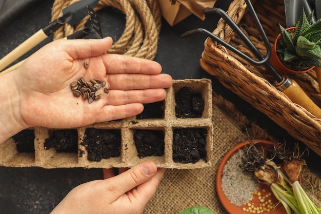 Semillas en manos de una mujer plantando de cerca