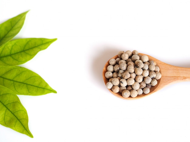 semillas de pimiento blanco en cuchara de madera con borde de hojas verdes aisladas en fondo blanco con espacio de copia.