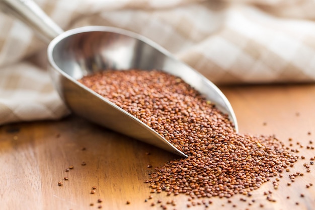 Semillas de quinoa roja en una cuchara de metal