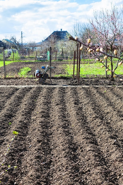 Semilleros de jardín arado y timón en la aldea