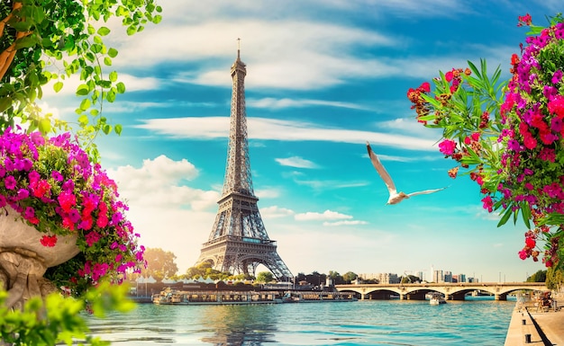 El Sena en París