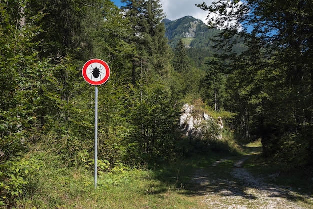 Señal de advertencia para los bosques infectados por garrapatas Peligro de enfermedad de Lyme y de garrapatas