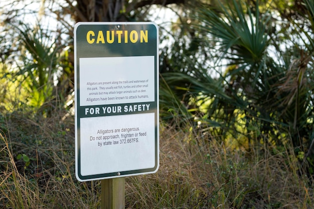 Señal de advertencia de caimanes en el parque estatal de Florida sobre precaución y seguridad durante la caminata