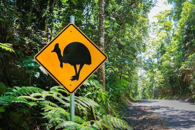 Foto señal de advertencia de casuario en la precaución de aves de carretera vida silvestre de australia