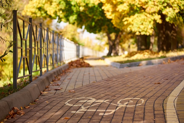 Señal de bicicleta en la carretera en el parque otoño