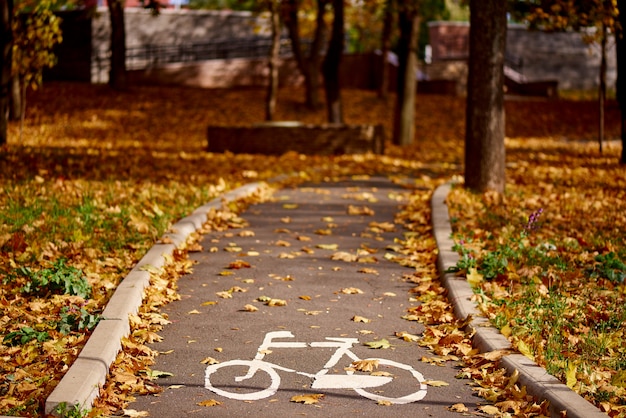 Señal de bicicleta en la carretera en el parque otoño