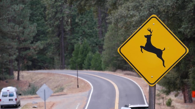 Señal de carretera amarilla de cruce de ciervos california usa animal salvaje xing seguridad vial