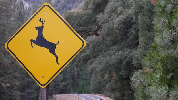 Señal de carretera amarilla de cruce de ciervos california usa animal salvaje xing seguridad vial
