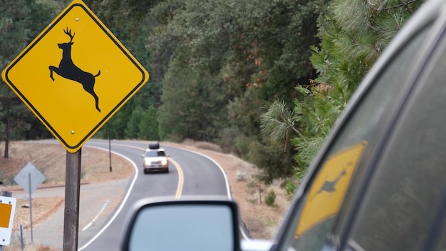 Señal de carretera amarilla de cruce de ciervos california usa animal salvaje xing seguridad vial