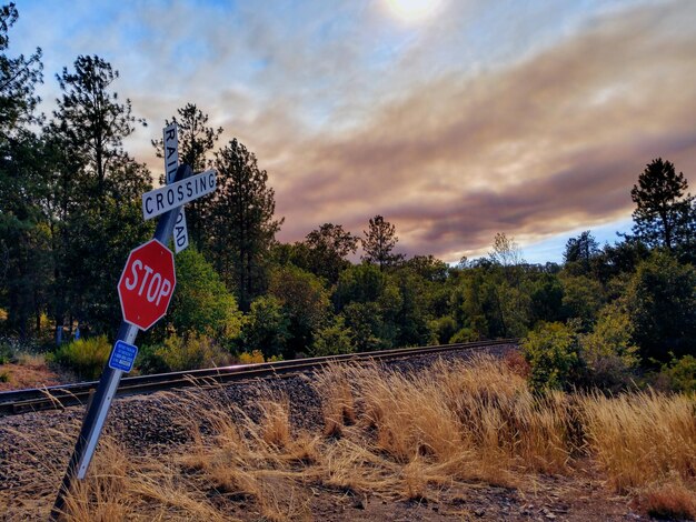 Foto señal de carretera por árboles en el campo contra el cielo