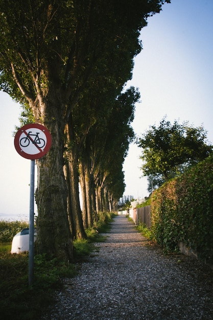 Señal de carretera por los árboles contra el cielo despejado