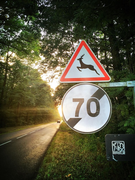 Foto señal de carretera francesa contra los árboles