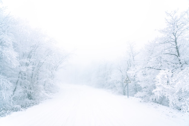 Señal de carretera sinuosa en carretera nevada