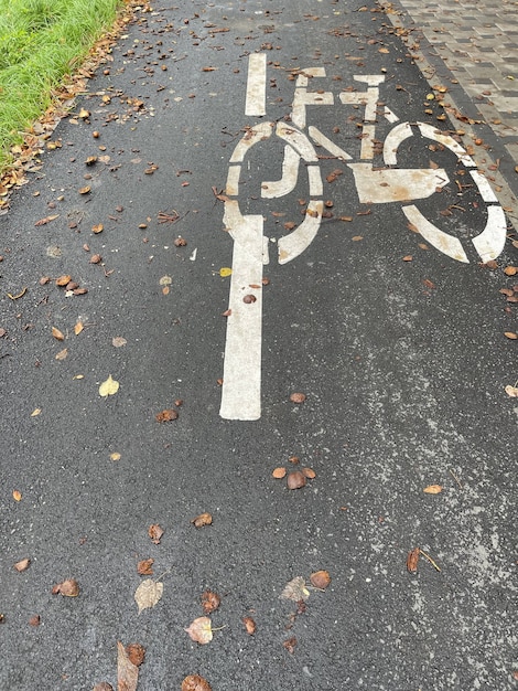 Señal de carril bici pintado sobre asfalto