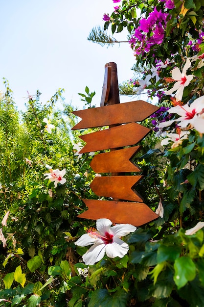 la señal de dirección con lugar para el texto está inmersa en flores de hibisco.