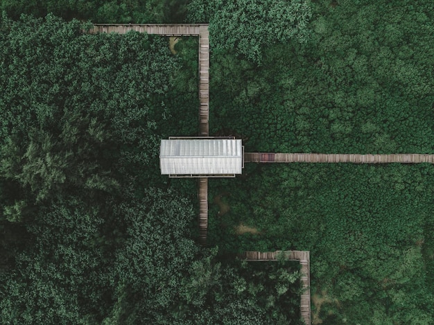 Foto señal informativa sobre las plantas en el bosque