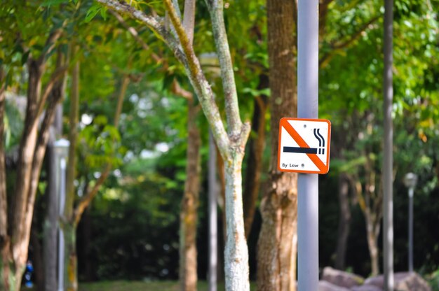 Señal de no fumar contra los árboles en el poste