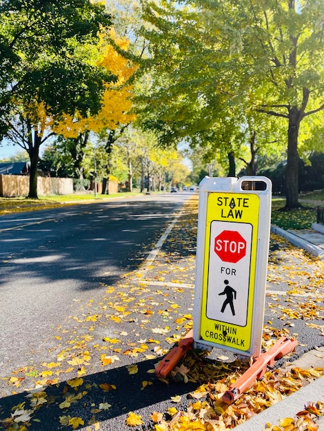 Foto señal de tráfico por los árboles durante el otoño