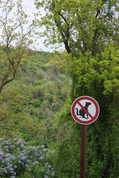 Foto señal de tráfico en el bosque