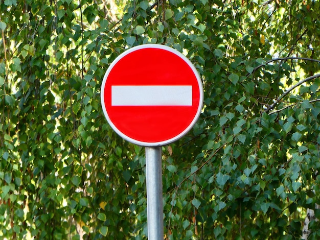 Señal de tráfico Prohibición de entrada o camino equivocado en la calle con fondo de árbol