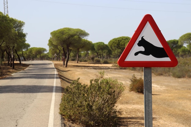 Señal de tráfico que advierte del paso del lince en España