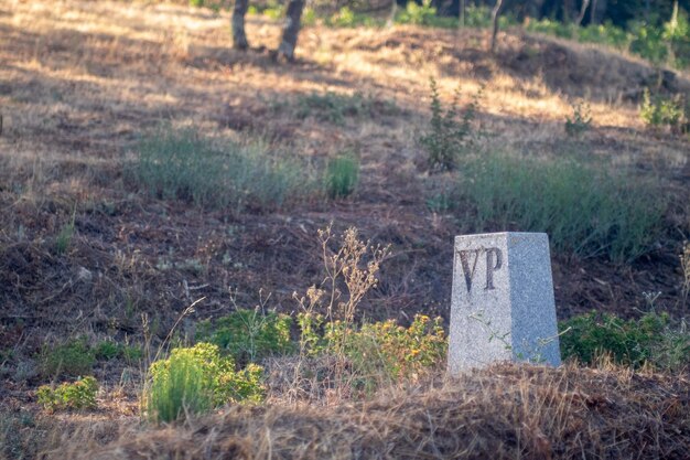 Señal de tráfico Rejilla de ganado con tapa