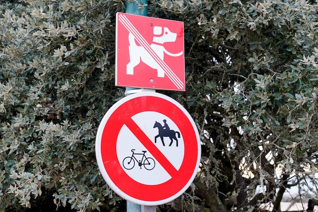 Señales de prohibición señal de perro prohibido en el acceso a la costa del mar de la playa