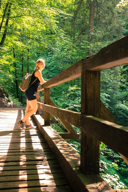 Senderismo en un bosque idílico Niña está de pie sobre una pasarela de madera y disfruta de la vista