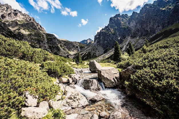 Senderismo por el Gran Valle Frío velka studena dolina hasta la cabaña Zbojnicka y la cabaña teryho a través de la silla priecne Parque Nacional High Tatras Eslovaquia paisaje