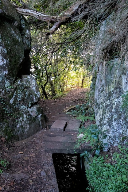 Senderismo por levadas en Madeira