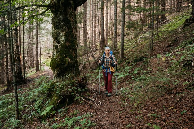 senderismo en las montañas a través del bosque mujer con mochila y palos de senderismo