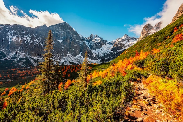 Senderismo en el parque nacional High Tatras HiIking desde el lago blanco hasta el lago verde en el paisaje montañoso Zelene pleso Eslovaquia