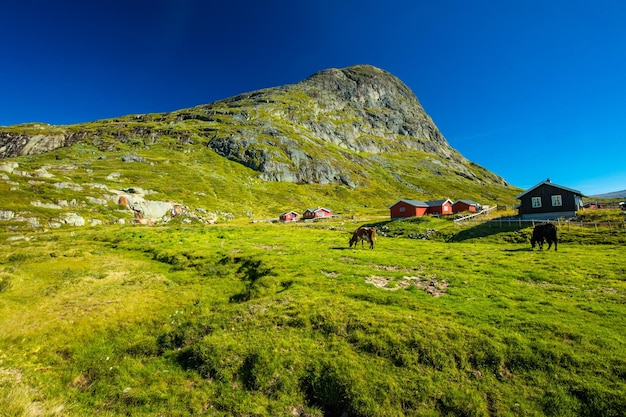 Senderismo en el Parque Nacional de Jotunheimen en Noruega Montaña Synshorn