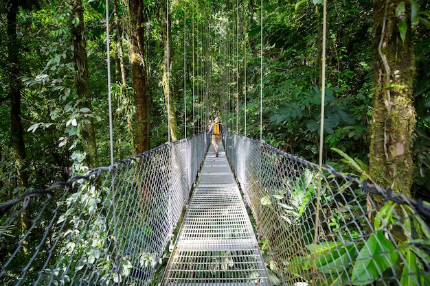 Senderismo en la selva tropical verde, Costa Rica, Centroamérica