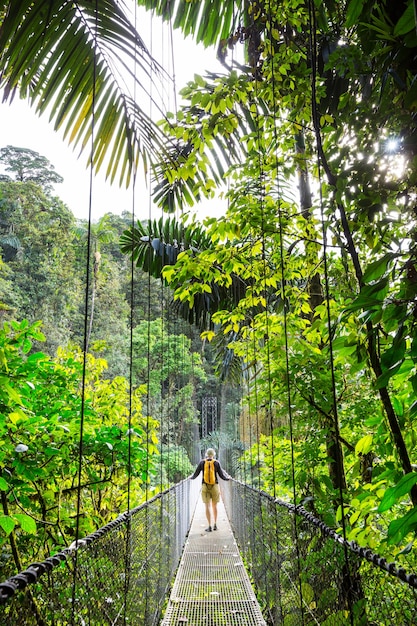 Senderismo en la selva tropical verde, Costa Rica, Centroamérica