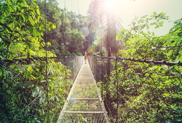 Senderismo en la verde selva tropical, Costa Rica, Centroamérica