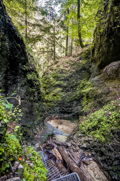 Sendero de aventura a través del cañón en el parque nacional del paraíso eslovaco Eslovaquia Vía ferrata en el cañón Concepto de viaje Kysel Discovery