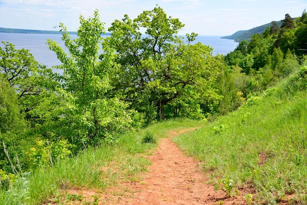 sendero de barro bajando la colina hasta el río