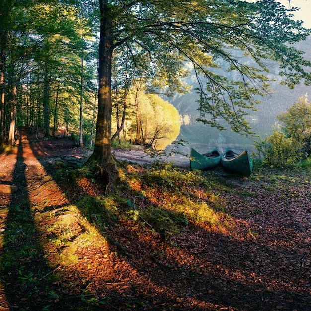 Sendero en el bosque