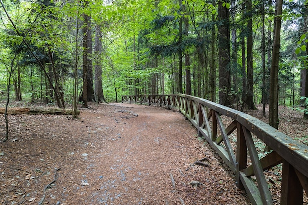 Sendero para caminar en las montañas con pasamanos de madera.