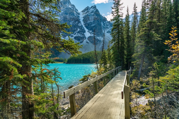 Sendero para caminar a orillas del lago en el bosque en un día soleado. Lago Moraine junto al lago, el Parque Nacional Banff, Canadian Rockies, Alberta, Canadá.