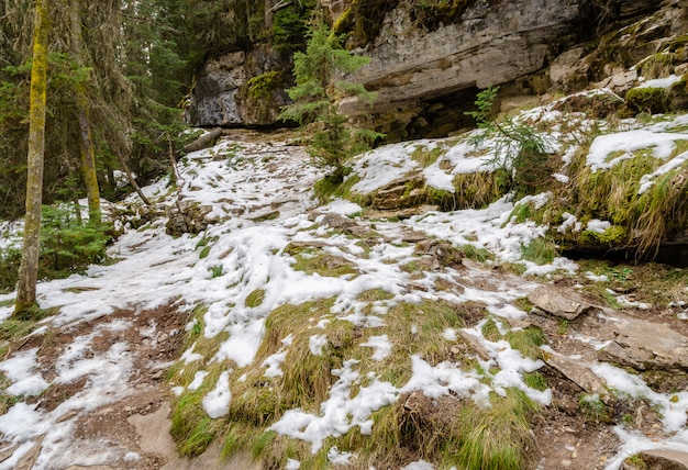 Sendero del cañón Johnston en el Parque Nacional Banff, Alberta, Canadá