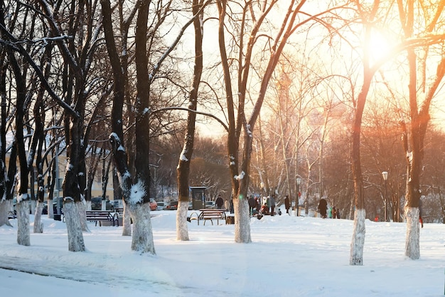 Sendero de la ciudad invierno